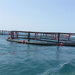 [Hot Item] Aquaculture Traps Product Offshore Fish Floating Cages Deep Water