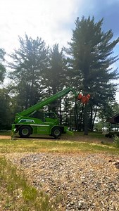 34 reactions | Foley's Tree Service, LLC on Reels | Facebook