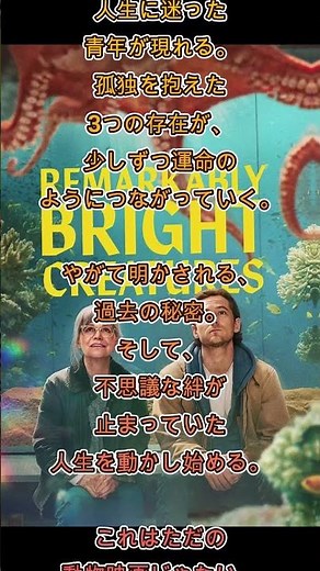 親愛なる八本脚の友だち - あらすじ紹介 #Netflix #here’s the story #synopsis #shorts