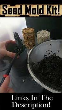 DIY Bird Seed Logs! Mold Kits Available! #Birdseed #feedingbirds