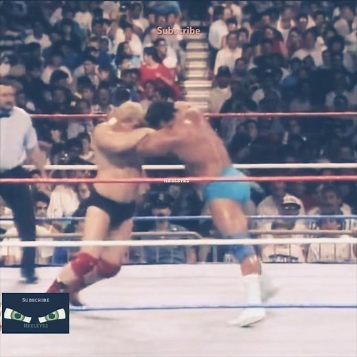 1988 WWE Summerslam Don Muraco vs Dino Bravo #wwe #wwf #wsi #summerslam #prowrestling #shorts