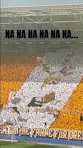 Fangesang Dynamo Dresden DY DY DY NA NA NA MO MO MO FORZA DYNAMO! 💥📣 #dynamo #dresden #stimmung