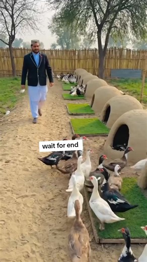 Muskwee B and Chakor's Adorable Family Moments