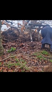 7.3K views · 391 reactions | Flying rat !!! #rattingdog #rattingwithterriers #ratting #pestcontrol #Essex #kent #london #workingdog #dogsofinstagram #farm #rat #jackrussell #borderterrier #patterdaleterrier #rollothepatterdale #rathunter #deerhound | Billy Burroughs | Facebook