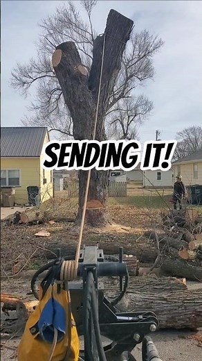 Young Arborist sending large maple tree trunk practice makes perfect Hutchinson Kansas