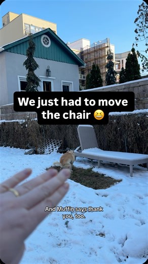 @katieandtatesfostermates on Instagram: "Muffin’s private poopy spot has been revealed 😆"