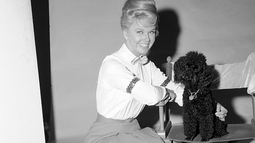 Thanks to her infectious smile and her glowing spirit, Star of the Month Doris Day has preserved as one of the screen's most lovable stars. A singer, dancer, actress and pet lover, Day's legacy extends beyond her keen talents into advocacy. | Turner Classic Movies: TCM