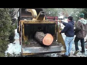 Checking out the Beaver!