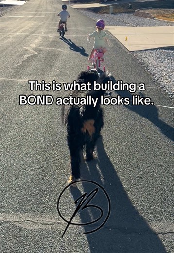 Family walk. Bikes everywhere. Dogs pulling the leash. No iPads. No rush. Just time together. Turns out the best way to build a bond is actually pretty simple. #bondathletics #familywalks #raisingactivekids #family #activeparents