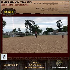 “Nessie” Finessin On Tha Fly by View Me Flying is a 2019 AQHA bay filly that is Paid In Full to Future Fortunes. She is currently being started under saddle. Although she can be kept quiet, she has a big motor and is going to finish out at probably 16 hands. Located in Huntsville, Texas. No trades. Price is Negotiable. https://barrelhorseworld.com/Barrel-Horses/380335/Finessin-On-Tha-Fly | Barrel Horse World