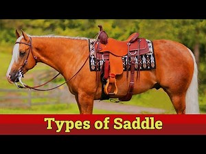 Types of Saddle