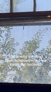 8K views · 120 reactions | We would really rather not have to make war with the wasp brigade while we clean. I’d say a good 95% of windows in unkept homes have wasp nests in them. We ain’t trying to ride that ride. Plus, we have respirators. We really don’t need the fresh air. . . . #junkremoval #wasps | Junk Lovers Junk Removal & Hauling LLC | Facebook