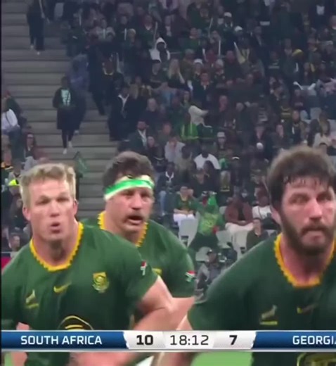 Exceptional Springbok Try Highlights Against Georgia