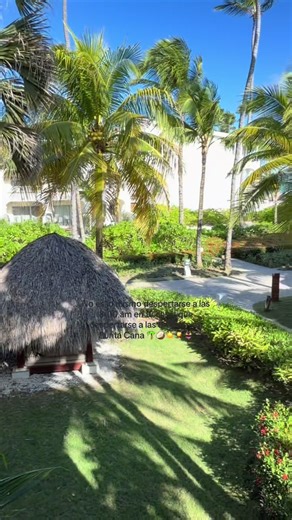 En verdad rompieron 🤪 #puntacana #vacaciones #meliacaribebeach | punta cana