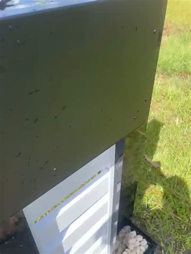 Modern mailbox By Mailbox Factory FL, Custom Mailbox fabrication and Installation call us 786-583-4659 aluminum material - powder coating - paint - Floating numbers - Box (Approved by the USPS) - Solar lights - Base and pebbles (Additional price) #mailbox #mailboxes #mailboxflorida #mailboxesfl #frame #aluminummailbox #aluminum #powdercoating #powdercoatedframe #sarasota #sarasotafl #sarasotaflorida