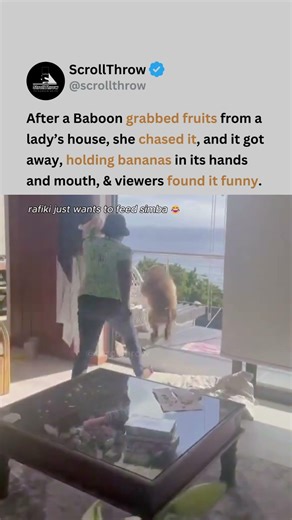 Baboon’s "Banana Heist" escape from chasing lady has the internet laughing 😭🍌 #viral