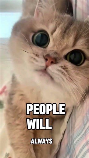 Emotional Healing #812: The REAL Reason They Call You "Selfish" 🤫🐾 #viralvideos #selflove #kitten