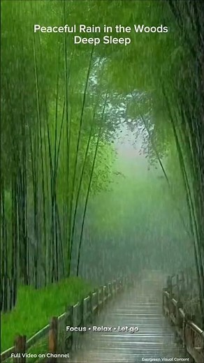 Peaceful Rain in the Woods | Deep Sleep. #rain #relaxing #sleep