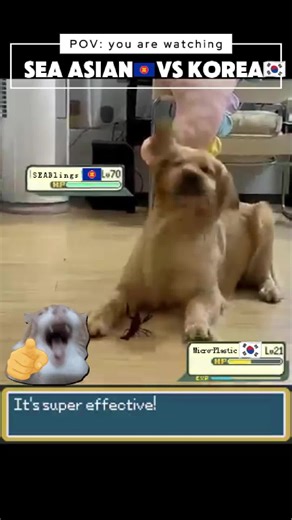 whats up with south east asian vs korean??? #seablings #southeastasian #Korean #knetz #kpop