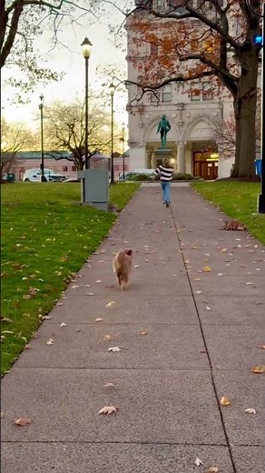 She is so fast! Do you have a dog?!? 🐶 #trending #ninjakidztv #fyp