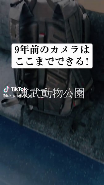 EOS 1DX mark2がついに9年も経ってしまった#東武動物公園#とうbu #iphone #撮影 #夜景 #android #150600mm #iphone15promax