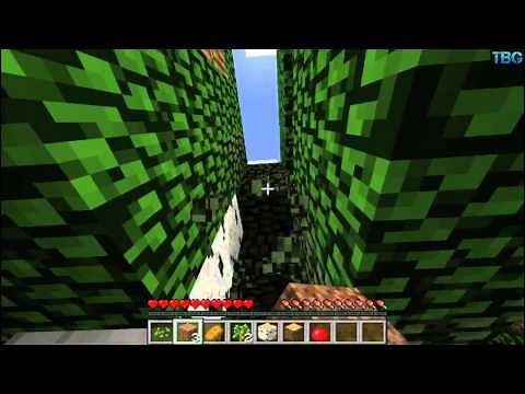 MineCraft: Intel Pentium G2030 & Intel HD Graphics