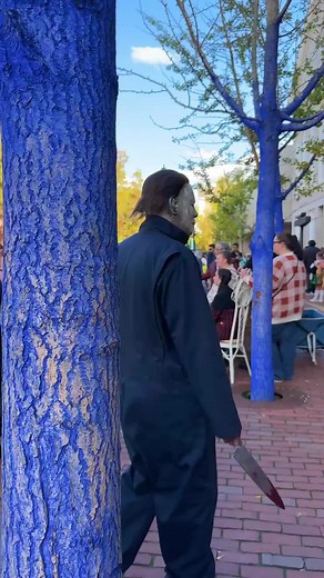 The Dread Pirate Roberts on TikTok