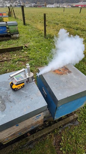 13K views · 90 reactions | Nuovo acquisto, sublimatore veloce e pratico | Claudio Cattori | Facebook