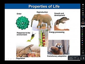 Chapter 1 Introduction