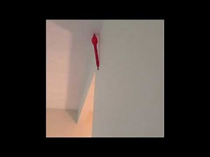 Flight of the rocket balloons