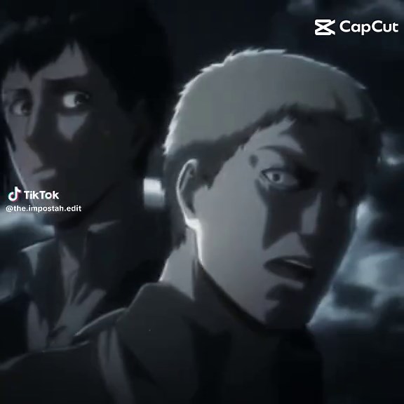 #edit #foryoupage #snk #shingekinokyojin #fyp