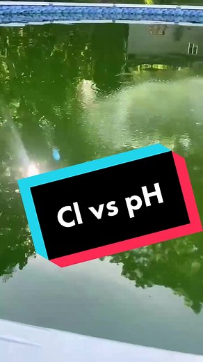Understanding the Importance of pH Levels in Pool Maintenance