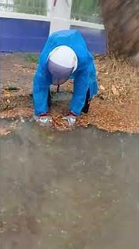 Satisfying Drain Rescue with Heavy Debris Extraction #satisfying #drainunclogger #farming