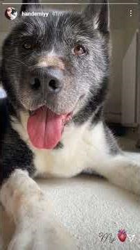 Hande Ercel ❤️ Kerem Bursin Romantic Journey