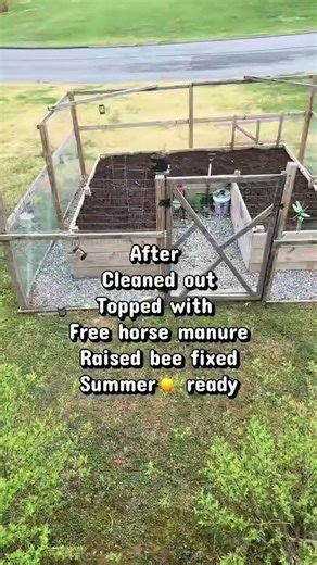 Preparing for summer continues #garden #gardening #shortsfeed #homesteading #homegardening #shorts