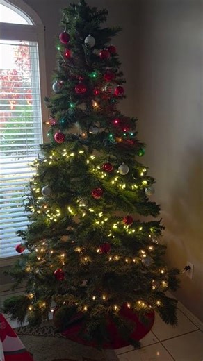 Christmas tree 🎄 #christmas #lastchristmas #Thor ##blacklabradore #fyp #funnypets