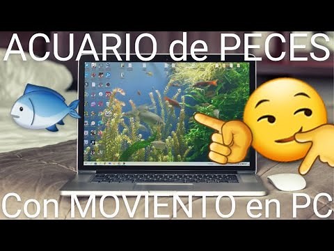 🐟🐠🐡 Como PONER un ACUARIO con PECES en MOVIMIENTO como FONDO de PANTALLA de PC 💻 PASO a PASO