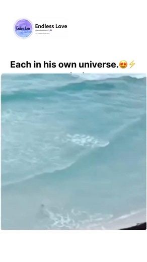 Each in his own universe. 😍⚡️