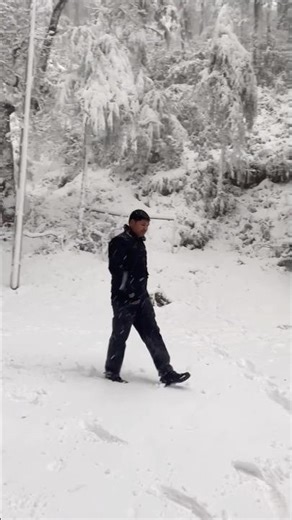 Mussoorie Snowfall : Heaven on Earth 🌎 #snowfallupdate #travelupdate #shortfeed #fypシ゚viral