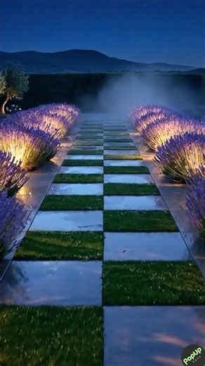 Beautiful Checker Pathway Transformation