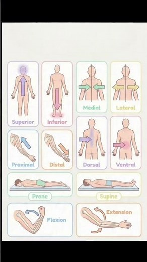 Anatomical term and position #anatomy #viral #trending #medical #fmge #medico #terminology #shorts