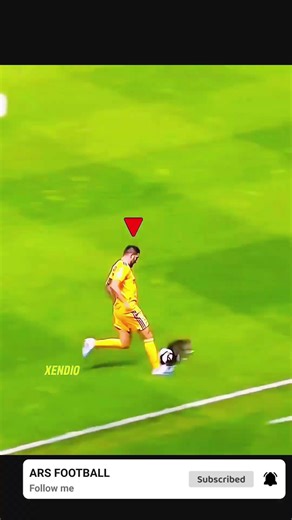 Funniest Animal Pitch Invasions in Football! 🐶