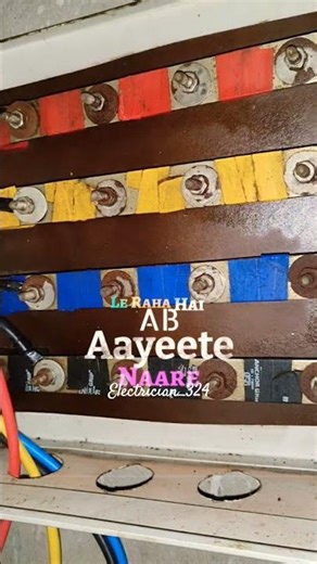 Electrician: The Ultimate Status Symbol for Love