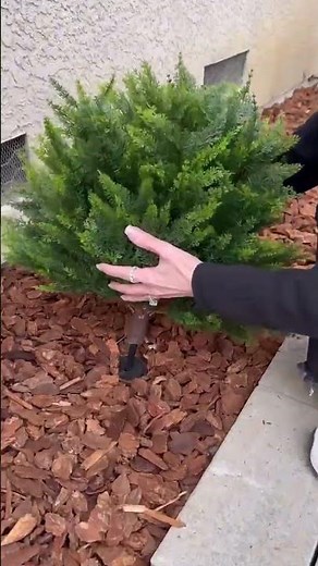 Artificial Outdoor Plants Review | Realistic Front Porch Decor | Amazon Home Find