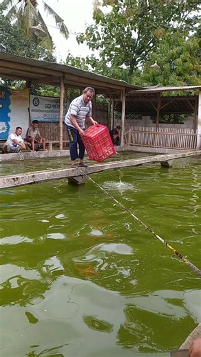 Spread Fresh Catfish