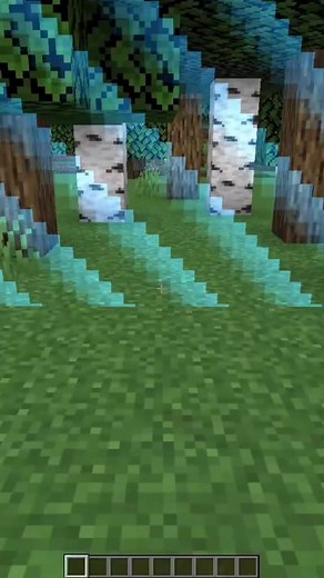 I broke mincraft#minecraft #minecraftfunnymoment #minecraftcursed #minecraftfunny #fpy #fy #foryou #foryoupage