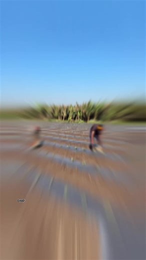 Modern Agriculture Technology Revolutionizing Farming in Nepal