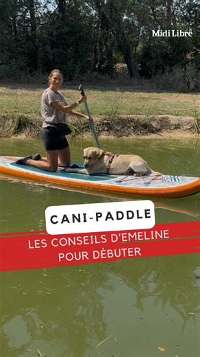 🐾🏄‍♂️ L’été est terminé, mais il est encore temps d’essayer le cani-paddle ! Avec Émeline, éducatrice canin, découvrez comment initier votre chien à cette activité fun et complice. Une façon parfaite de prolonger les beaux jours sur l’eau. 📍Occi’Cani Aqua. Villeneuve-lès-Béziers | Midi Libre