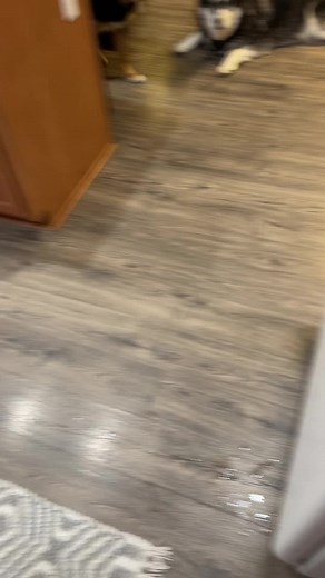 Celebrating Payday: Essential Financial Tips