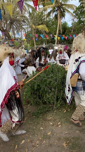 Judios Tumbando Cruces en el Añil Corrida Jueves Santo Semana Santa 2025 | Judíos De San Miguel Zapotitlán